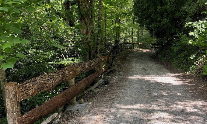 Topton Cabin | Get in on June Special price at Cabin Fever ! Near Lake Nantahala Wedding Venue
