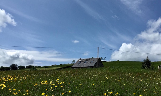 Longford House | Gig house converted to a one bedroom cottage
