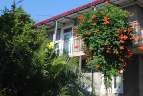 Mtsvane Kontskhi House | Giga Guest House