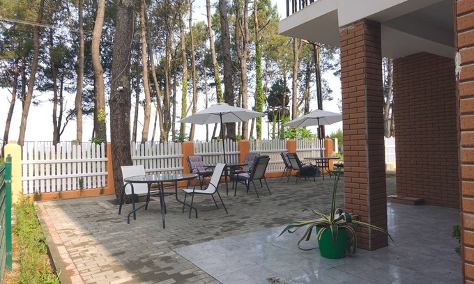 Shekhvetili Bed & Breakfast | Gina Shekvetili