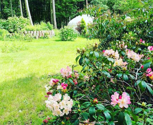 East Dereham Other | Gingerbread Cottage Yurts