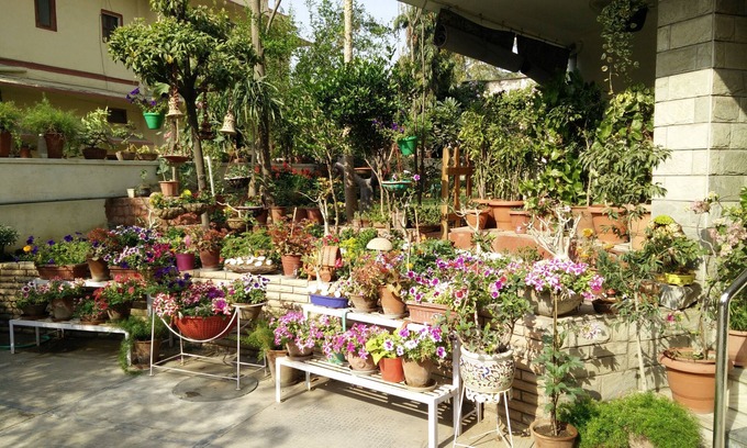 Panch Batti Hotel | Girisadan Homestay