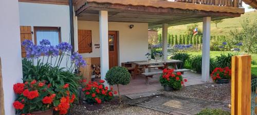 Labaroche Apartment | gite au coin du feu à 25mn de Colmar au calme avec jardin clos