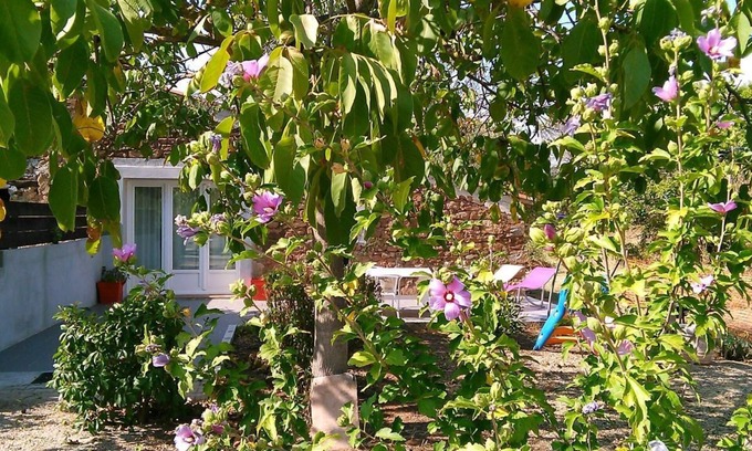 Gonfaron House | Gîte in the countryside G2072