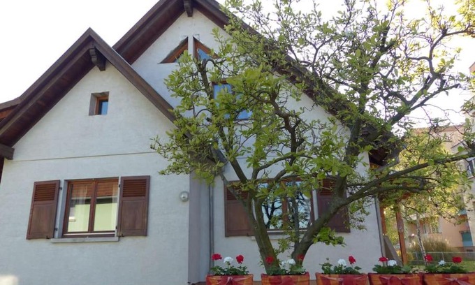 Selestat Apartment | GITE SPACIEUX AU COEUR DE L'ALSACE 3*
