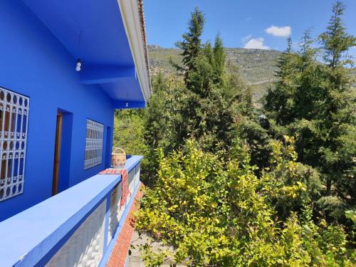 Bab Taza Cabin | Gite Talassemtane