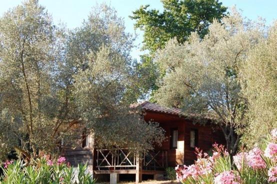Grosseto-Prugna House | Gites Chalets de Grosseto-Prugna