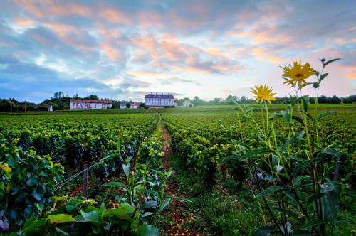 Comblanchien House | Gites Chateau Comblanchien