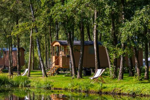 Kinrooi Other | Glamping - 25 min Roermond, Maasmechelen & Maastricht