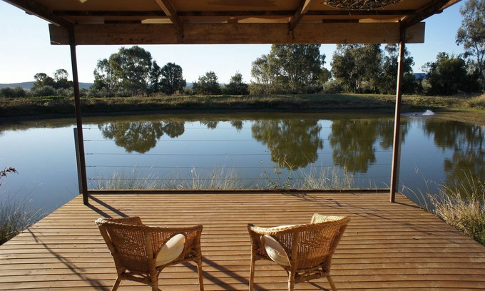 Canowindra RV Rental | Glamping in the Olive Grove