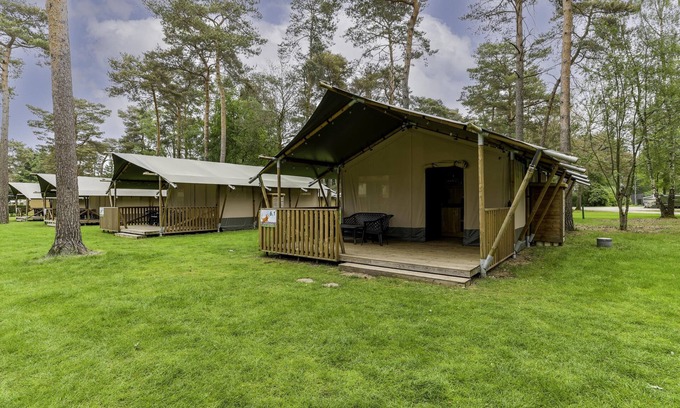 Vessem House | Glamping tent on campsite with swimming pool