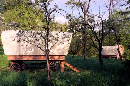 Gornji Grad Other | Glamping Tlaka
