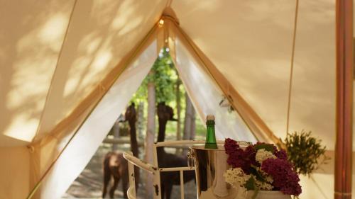 Visingo Other | Glamping Visingsö