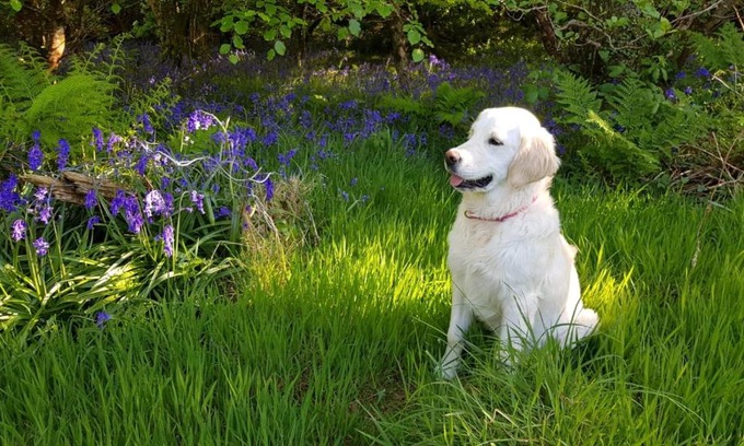 Valentia Island House | Glanleam's Gardener's Cottage