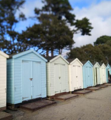 New Forest District Cabin | Glen Lodges