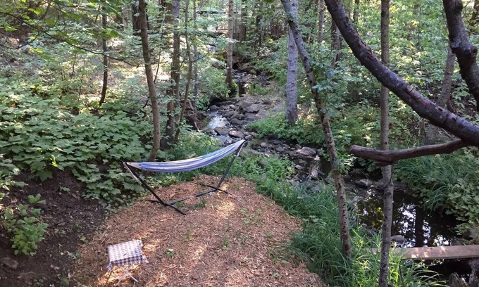 Camp Connell Cabin | Glorious Summer At Cabin On The Creek