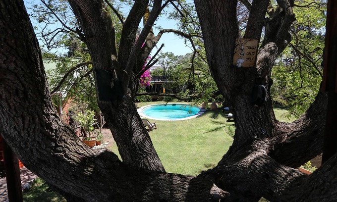 Shelley Point House | Goblins Creek