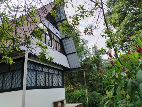 Mindo Ski Chalet | Golden Bird II