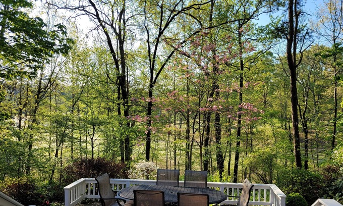 Hot Springs Village House | Golf, Relaxation, Adventure, Fun awaits you in this beautiful spacious home