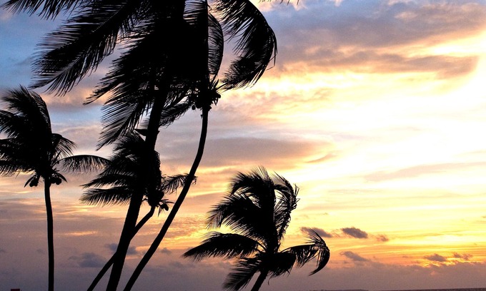 Rum Point Apartment | GOOD VIBES Botanical, Boho meet the Beach ,secluded beach with ocean views
