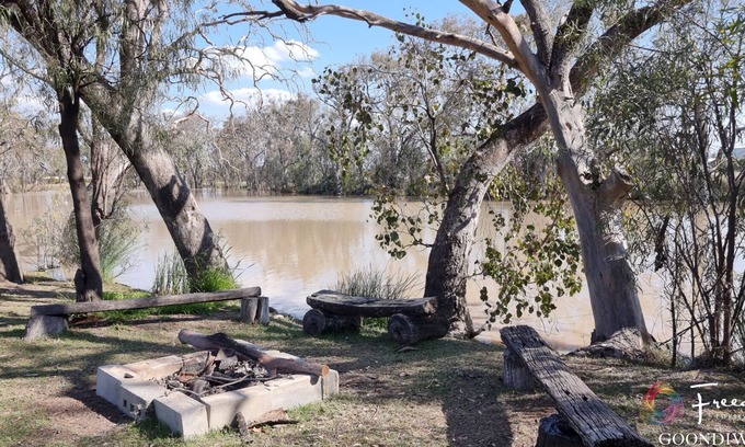 Goondiwindi Other | Goondiwindi Tourist Park
