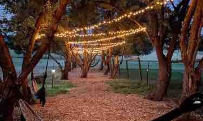 Sheridan Other | Goose Valley Farm, Alpaca Farm under the Big Horn Mountains
