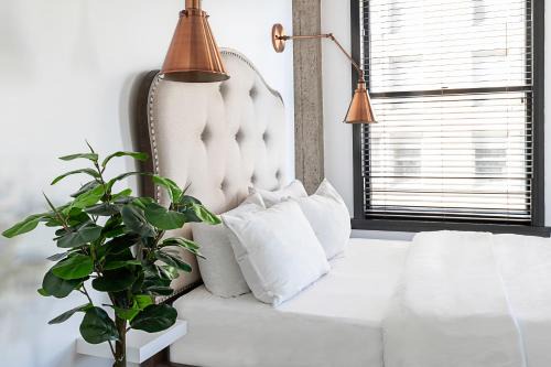 Historic Core Apartment | Gorgeous Apartment 2-bedroom 2-bathroom