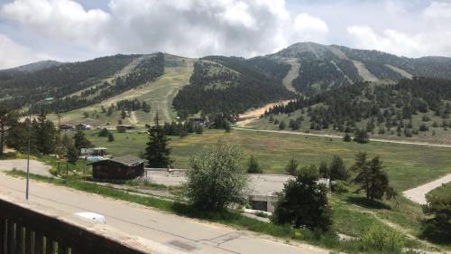 Greolieres les Neiges Apartment | Gréolières les neiges
