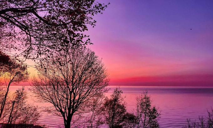 Union Pier Cottage | Grace Cottage-Pet-friendly, open all year! Lake Michigan beach access!