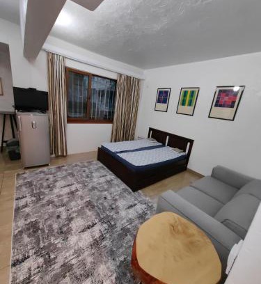 Sofia City Center Apartment | Graf Ignatiev 27