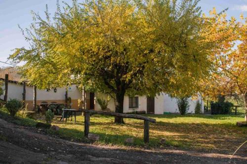 Fuenteheridos House | Granados