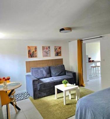 Epinay-sur-Seine Apartment | Grand studio cosy proche Paris