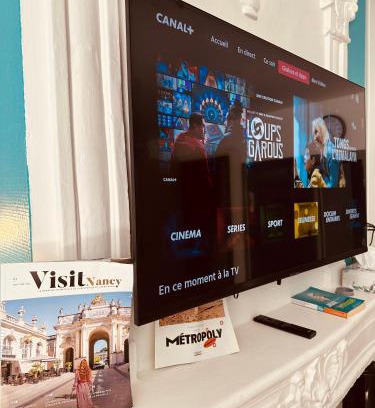 Saint-Pierre - Rene II - Bonsecours Apartment | Grand T1 tout confort offre cinéma Netflix, canal série, apple TV, OCS, paramount