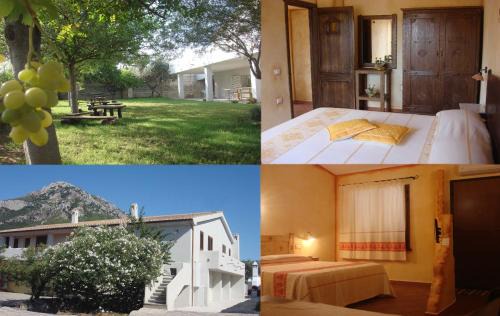 Galtelli Bed & Breakfast | Grazia Deledda