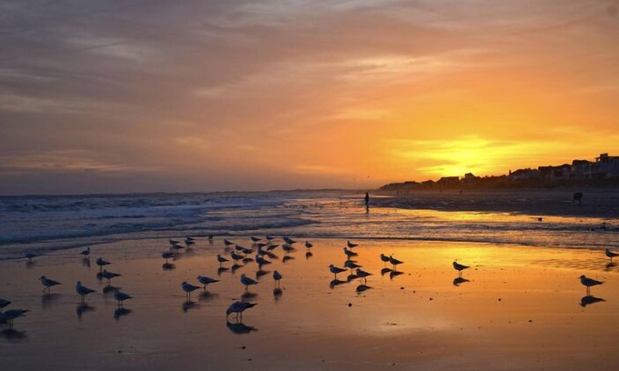 Folly Beach Condo | Great Escape ~ Family Friendly ~ Clean ~ 1st FL ~Pool ~ Short Walk to Beach