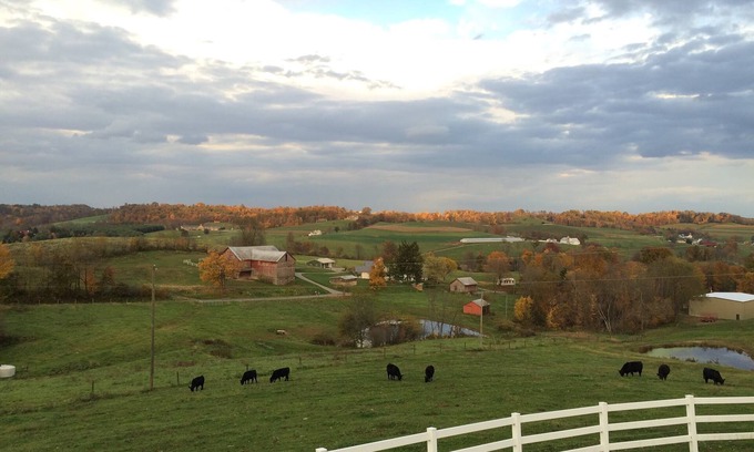 Millersburg House | Great for Friends & Families, Breathtaking View, Nature Trails, Farm Animals