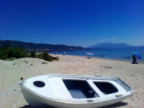Asprovalta Apartment | Greece Asprovalta Rooms Accomodation Apartment Hotel Petalo