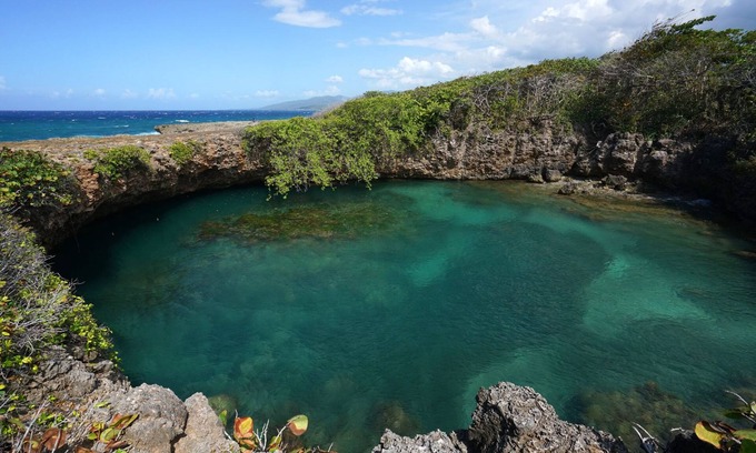 Robins Bay Resort | Green Castle Estate