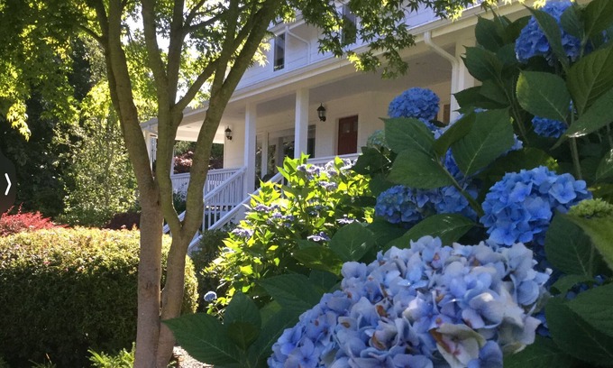 Hansville House | Green Gable 5 acre Estate Across from Puget Sound Hi Speed Internet. Sleeps 13.