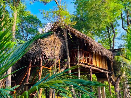 Sigiriya Cabin | Green land tree house sigiriya