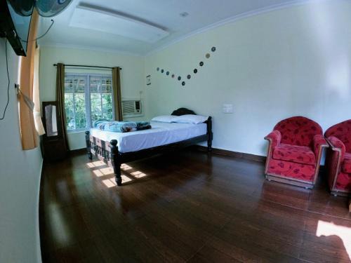 Gudalur House | Green lush pool villa