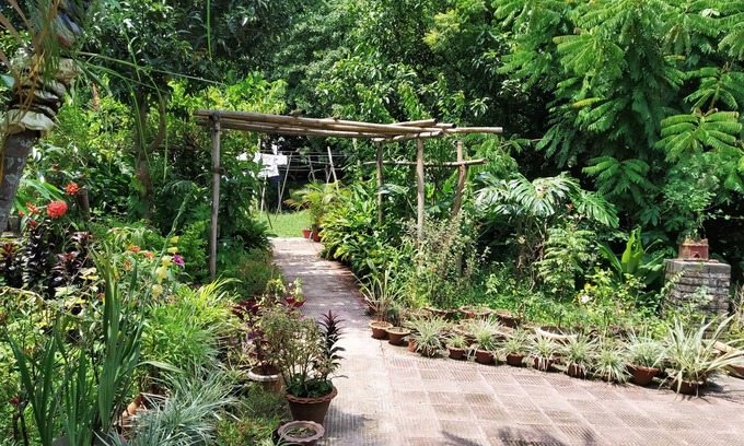 Balipara Hotel | Green Point Resort