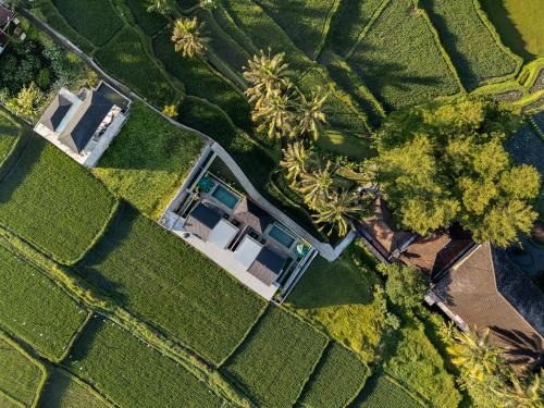 Tegallalang Villa | Green Weca Ubud Villa