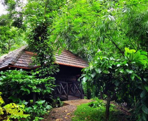 Kalloor Villa | Greens Tree House & Wood House