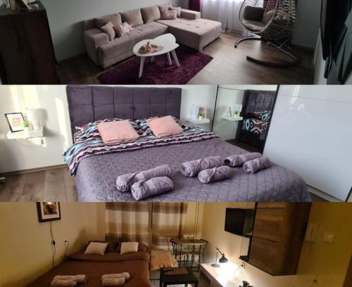 Zajecar Apartment | Grey & Sunny Apartments Zaječar