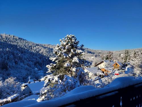 Triberg im Schwarzwald Apartment | Große Ferienwohnung in ruhiger Lage mit toller Aussicht in Triberg