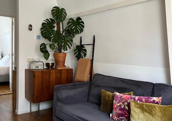 Alkmaar Bed & Breakfast | Groenlokaal
