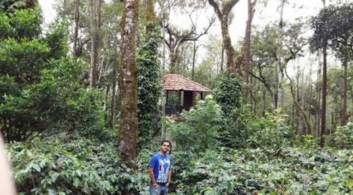 Madikeri House | GT COFFEE ESTATE STAY coorg