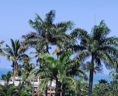 Vila Julia Apartment | Guarujá - Praia da Enseada - 200 metros da praia - Apartamento inteiro