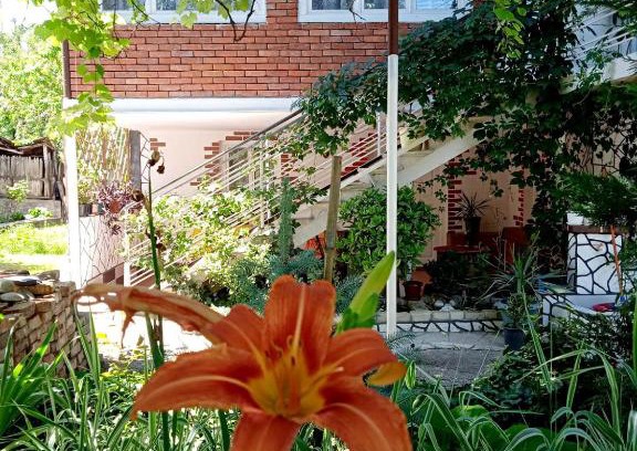 Mirzaani House | Guest house and Cuisine by Meri Poppins